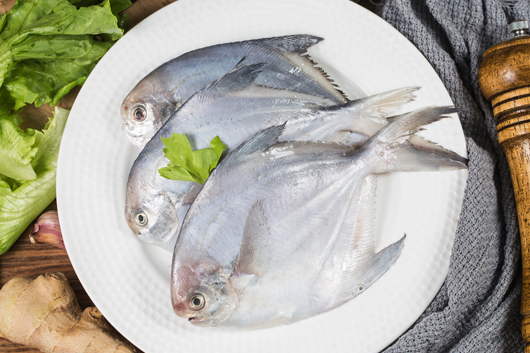 butterfish