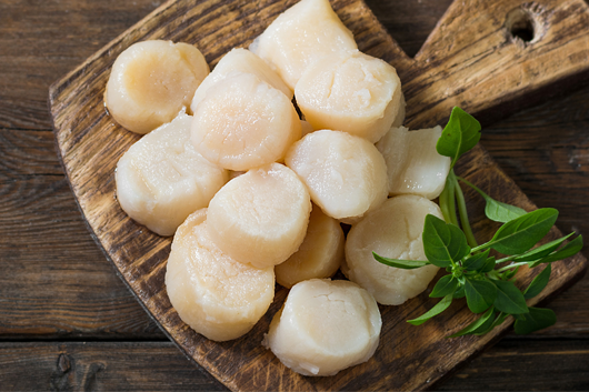 scallop